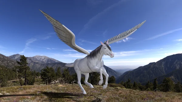 Pegasus Ordförande — Stockfoto