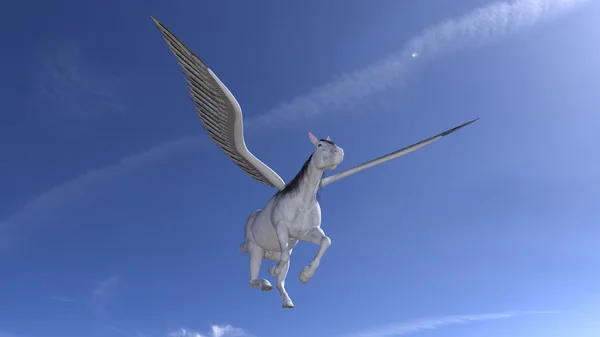 Pegasus Ordförande — Stockfoto