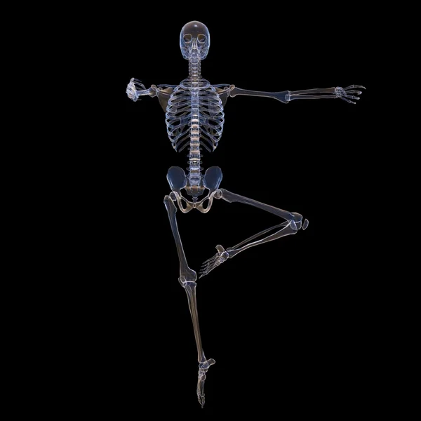 Skeleton — Stock Photo, Image