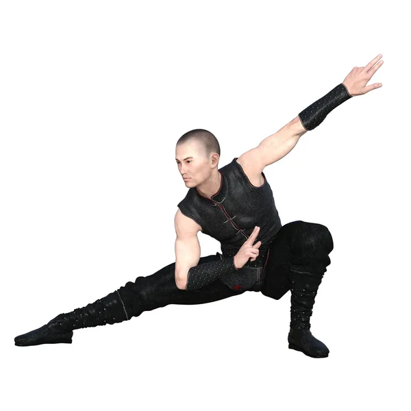 Kung fu ustası — Stok fotoğraf