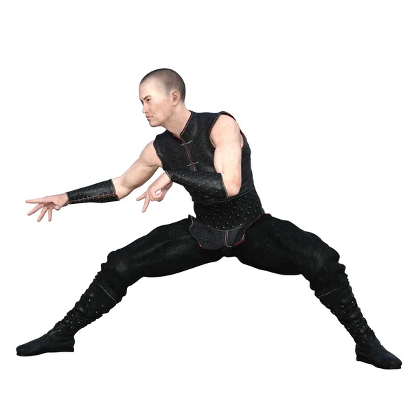 Kung fu master — Stockfoto