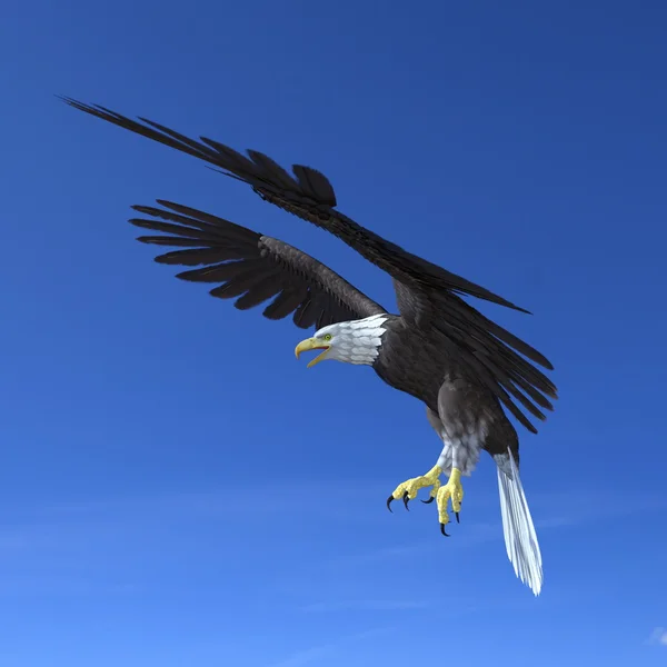 Ilustração 3D de uma águia careca e céu — Fotografia de Stock