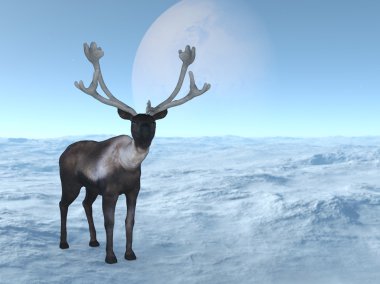 bir Ren geyiği 3D çizimi