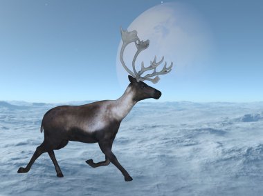 bir Ren geyiği 3D çizimi