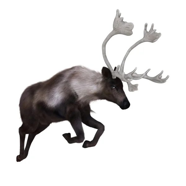 Ilustração 3D de uma rena — Fotografia de Stock