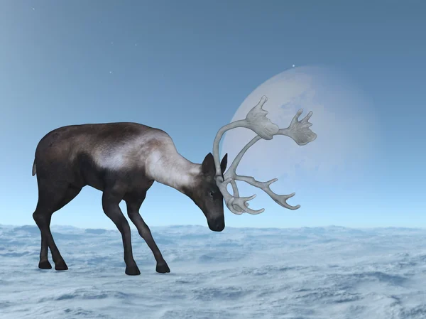 3D illustration of a reindeer — Stock Photo, Image