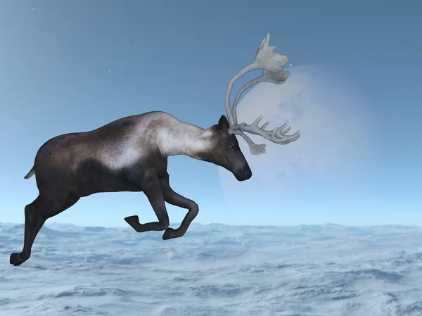 3D иллюстрация северного оленя — стоковое фото