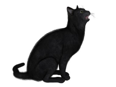 siyah bir kedi 3D çizimi