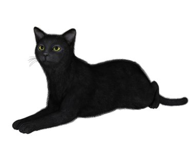 siyah bir kedi 3D çizimi