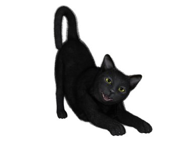 siyah bir kedi 3D çizimi