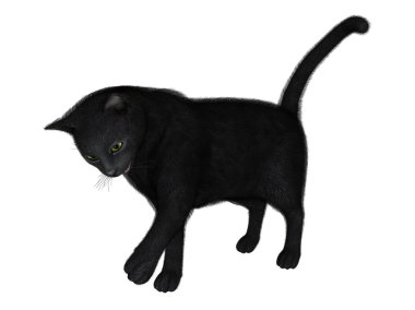 siyah bir kedi 3D çizimi