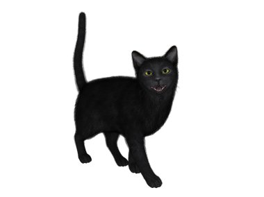 siyah bir kedi 3D çizimi