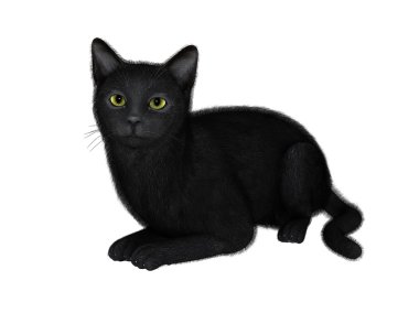 siyah bir kedi 3D çizimi