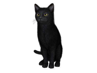siyah bir kedi 3D çizimi