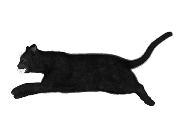Ilustração 3D de um gato preto — Fotografia de Stock