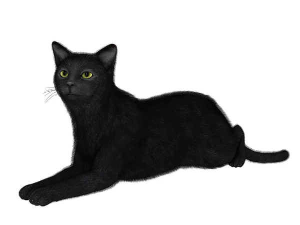 Illustrazione 3D di un gatto nero — Foto Stock