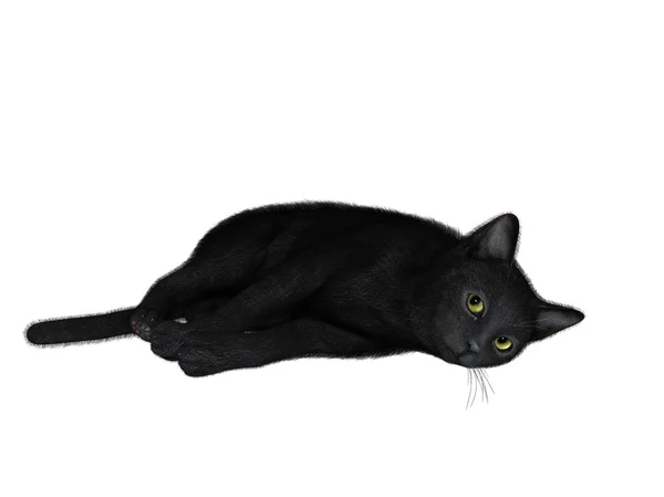 Ilustração 3D de um gato preto — Fotografia de Stock