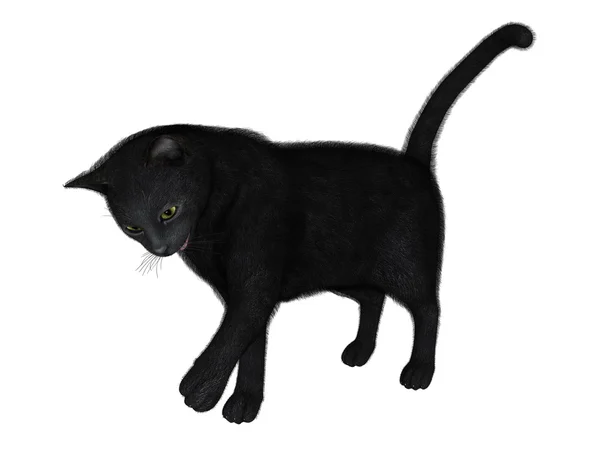 Illustration 3D d'un chat noir — Photo