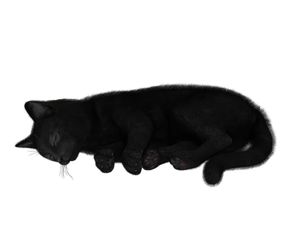 3D illustratie van een zwarte kat — Stockfoto