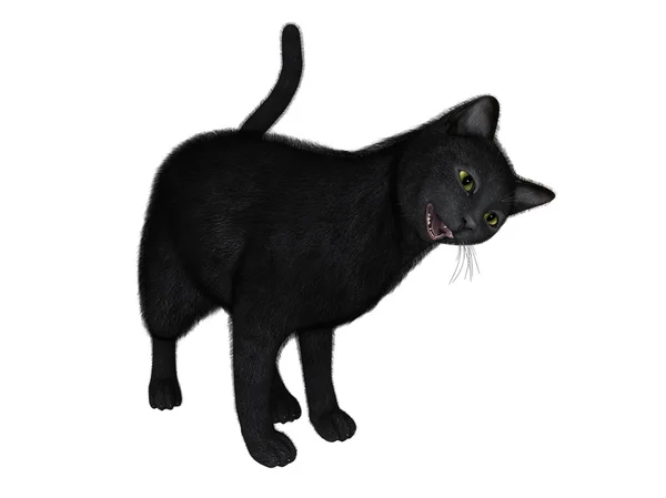 3D illustration of a black cat — Stock Photo, Image