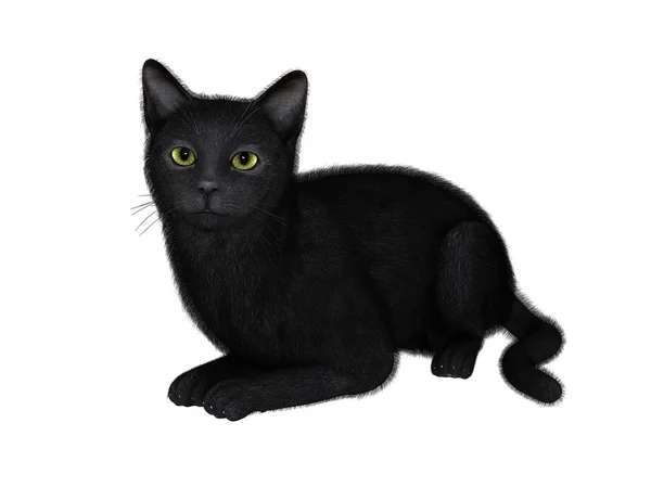 Ilustração 3D de um gato preto — Fotografia de Stock
