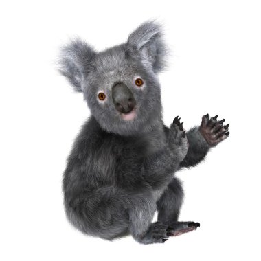 bir koala 3D çizimi