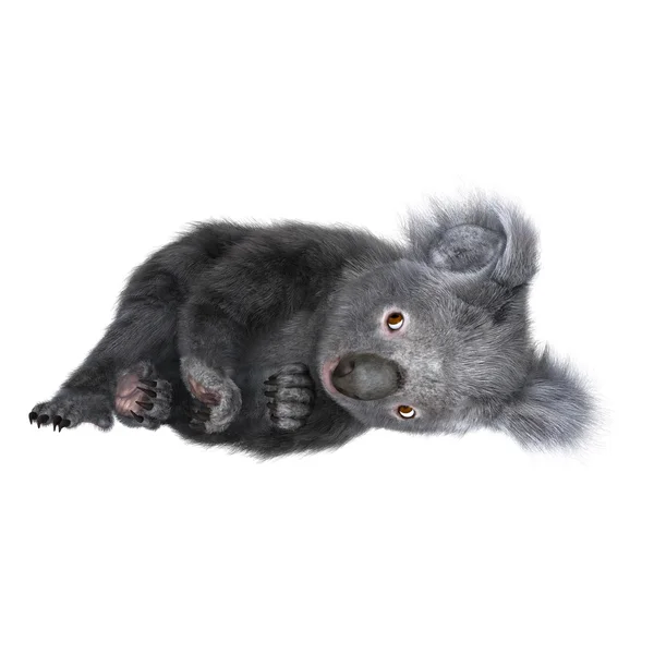 3D obrázek koala — Stock fotografie