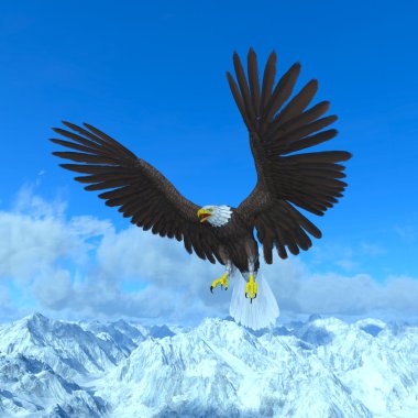 Kel kartal 3D çizimi