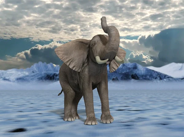 3D-cg rendering van olifant — Stockfoto