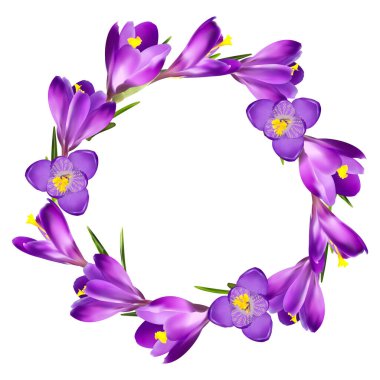 Beyaz arkaplanda timsah çelengi (halka)