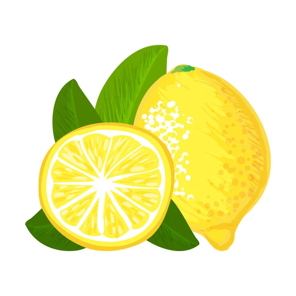 Fruta de limão — Vetor de Stock