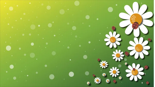 Illustration daisy flower bakgrund Royaltyfria Stockfoton
