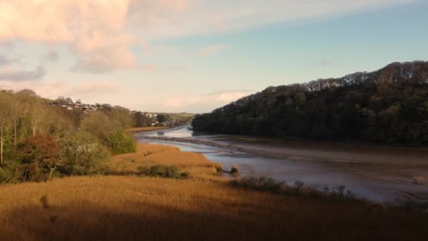 Truro Cornwall Yakınlarındaki Tresillian Nehrinden Ngiltere — Stok video
