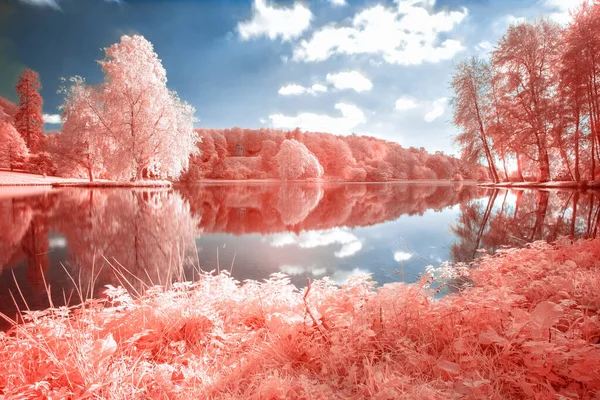 Göllü güzel bir manzara. 