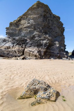 Porth Nanven Cornwall İngiltere 