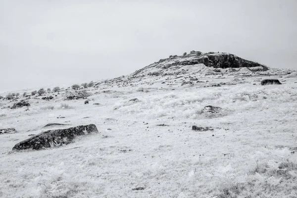 Bir Dağ Manzarasının Siyah Beyaz Fotoğrafı — Stok fotoğraf