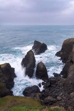 Deniz kıyısının güzel manzarası