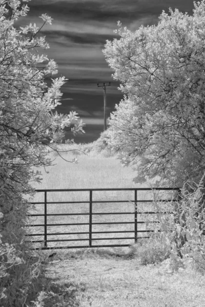 Όμορφο Τοπίο Ξύλινο Φράχτη — Φωτογραφία Αρχείου