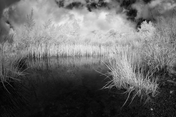 Bellissimo Paesaggio Con Lago Sullo Sfondo — Foto Stock