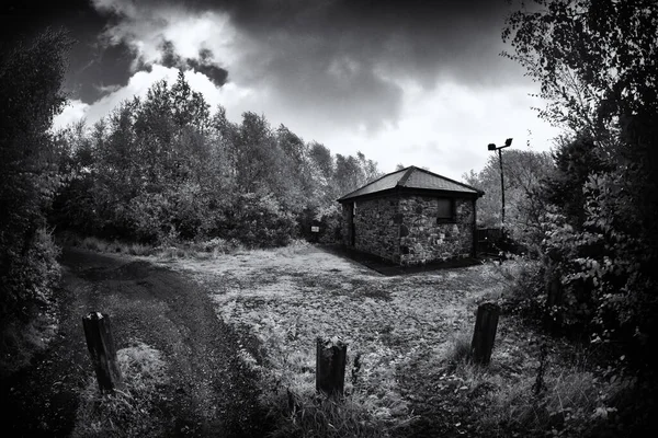 Oud Verlaten Huis Het Bos — Stockfoto