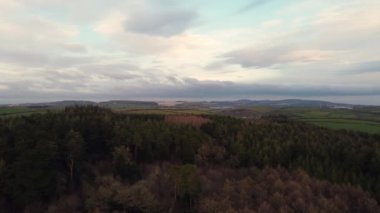 Truro Cornwall yakınlarındaki Ladock Ormanı İngiltere Birleşik Havalimanı 
