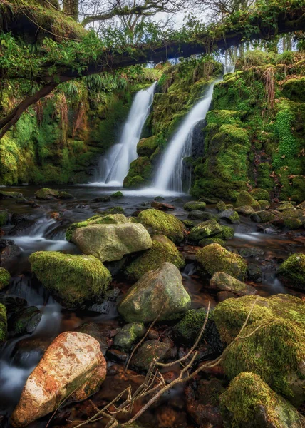 Στο Ventford Brook Κοντά Στο Ταμιευτήρα Dartmoor Devon Engand Διπλός — Φωτογραφία Αρχείου