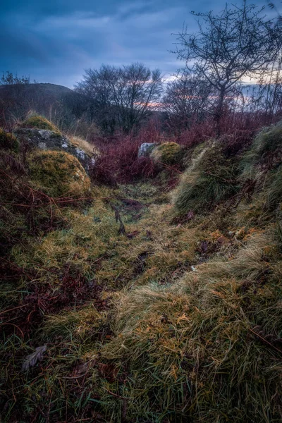 Dartmoor Sunset Downs Tor Devon England — 스톡 사진