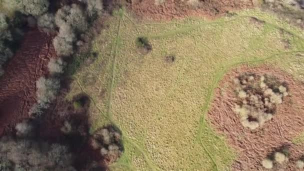 Viaduct Truro Naar Boetedoening Spoorlijn Cornwall Engeland Luchtfoto Drone Beelden — Stockvideo
