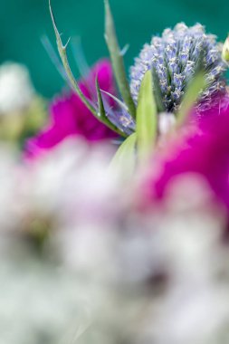 Güzel bir çiçeğe yaklaş