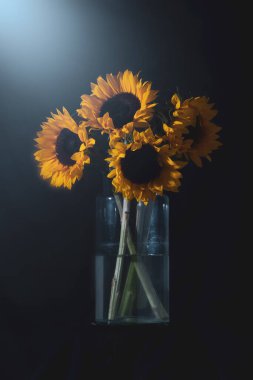 Karanlık bir arka planda vazoda güzel bir buket çiçek. 