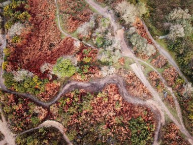 Tarlaları ve bulutlu gökyüzü olan güzel bir manzara.