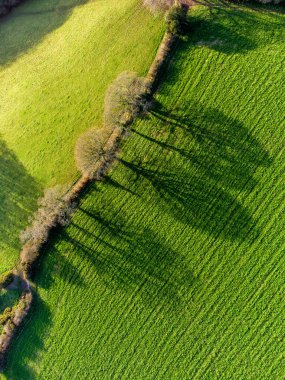 Güneş ışığından gelen ağaçların gölgeleri Mısır Duvarı İngiltere 'nin yukarıdan gelen insansız hava aracı görüntüsü