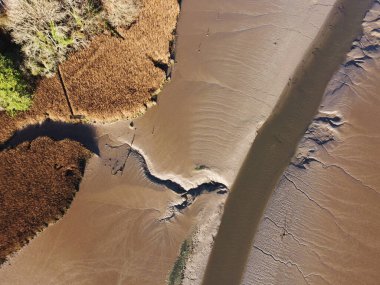 Bataklık çamuru ve sazlıklar üzerinde Tresillian Nehri Cornwall İngiltere