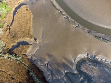 Bataklık çamuru ve sazlıklar üzerinde Tresillian Nehri Cornwall İngiltere. 